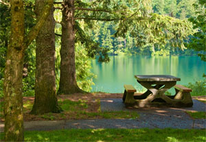 Picnic table